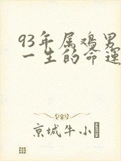 93年属鸡男孩一生的命运