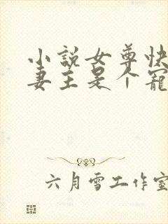 小说女尊快穿之妻主是个宠夫狂