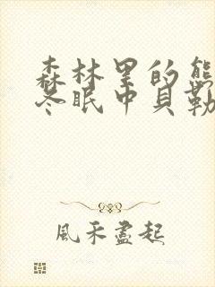 森林里的熊先生冬眠中贝勒