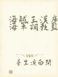 海贼王汉库克被海军调教监狱漫画