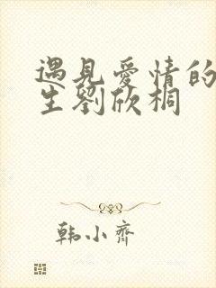 遇见爱情的利先生刘欣桐封面