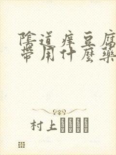 阴道痒豆腐渣白带用什么药