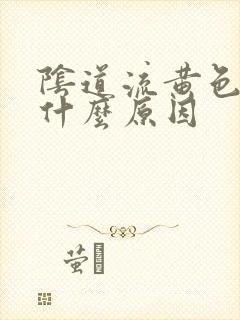 阴道流黄色液体什么原因封面