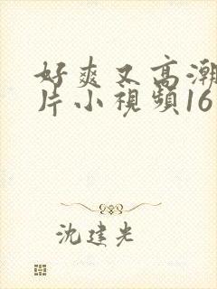 好爽又高潮了毛片小视频16