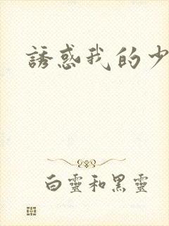 诱惑我的少妇封面