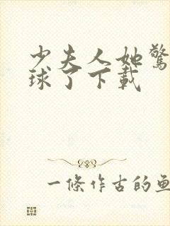 少夫人她惊艳全球了下载