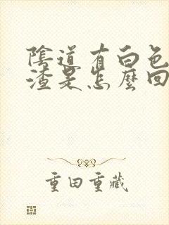 阴道有白色的豆渣是怎么回事