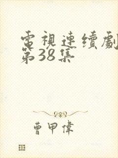 电视连续剧罪域第38集