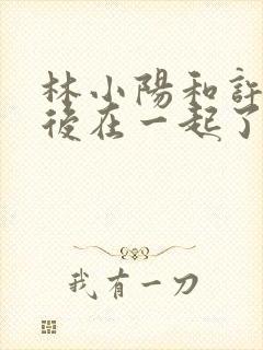 林小阳和许妍最后在一起了吗?封面