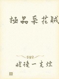 极品采花贼