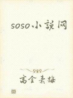 soso小说网