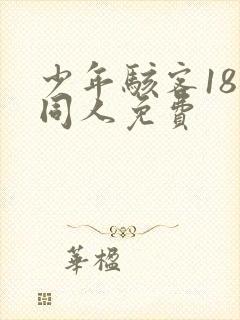 少年骇客18禁同人免费