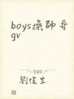 boys操帅哥gv