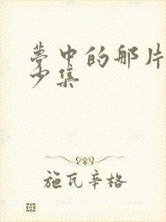 梦中的那片海多少集