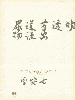 尿道有透明分泌物流出