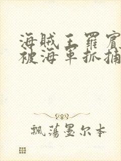 海贼王罗宾娜美被海军抓捕的漫画在