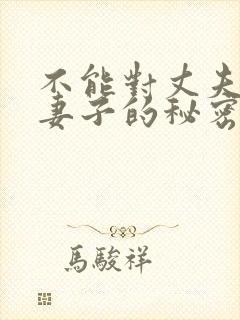 不能对丈夫说的妻子的秘密封面