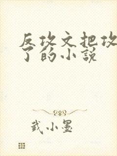 反攻文把攻虐疯了的小说