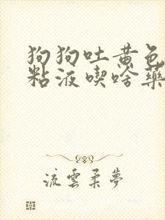 狗狗吐黄色泡沫粘液吃啥药