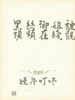 黑丝御姐被爆操视频在线观看91封面