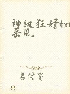 神级狂婿txt岳风