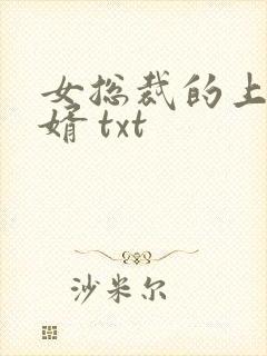 女总裁的上门龙婿 txt