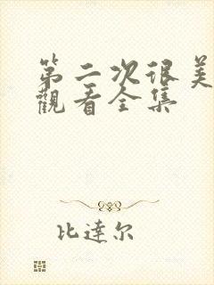 第二次很美在线观看全集