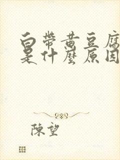 白带黄豆腐渣状是什么原因造成的封面