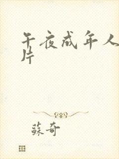午夜成年人黄色片封面