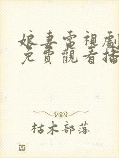 娘妻电视剧全集免费观看播放38封面