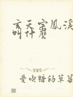 玄天宗凤溪小说叫什么