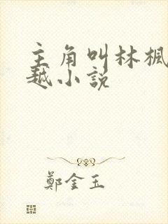 主角叫林枫的穿越小说