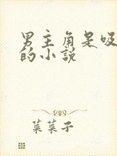 男主角是吸血鬼的小说