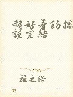 超好看的总裁小说完结