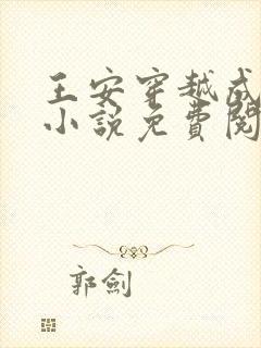 王安穿越成太子小说免费阅读