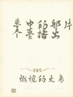 梦中的那片海哪个台播出