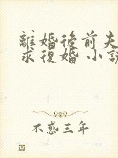 离婚后前夫哭着求复婚 小说