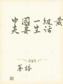 中国一级黄色片夫妻生活