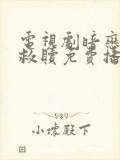 电视剧暗恋者的救赎免费播放