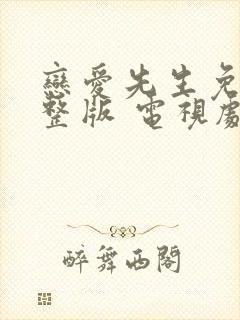 恋爱先生免费完整版 电视剧封面