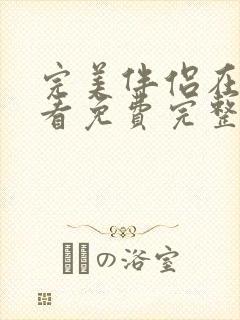 完美伴侣在线观看免费完整版高清电视剧