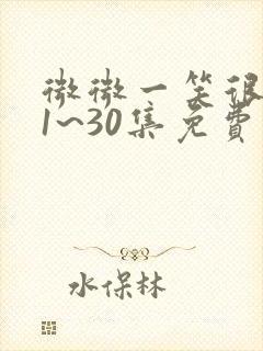 微微一笑很倾城1~30集免费