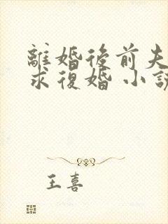 离婚后前夫哭着求复婚 小说阅读