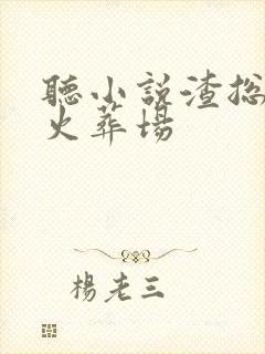 听小说渣总追妻火葬场