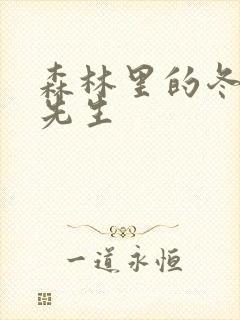 森林里的冬眠熊先生封面