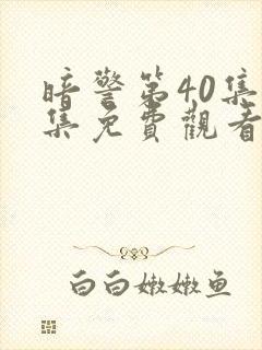 暗警第40集全集免费观看