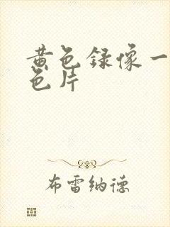 黄色录像一级黄色片