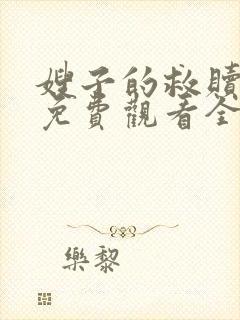 嫂子的救赎日剧免费观看全集中文版封面