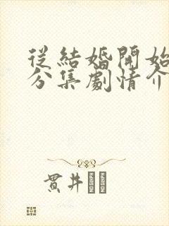 从结婚开始恋爱分集剧情介绍