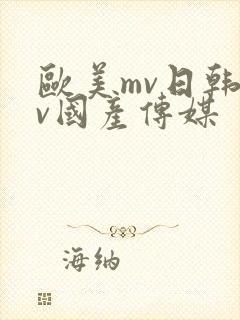 欧美mv日韩mv国产传媒封面